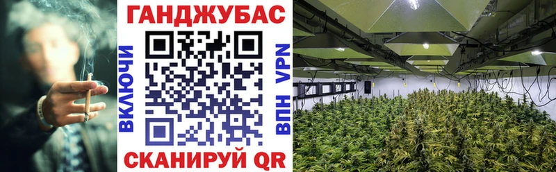 Марихуана марихуана  Купить закладки  Западная Двина 
